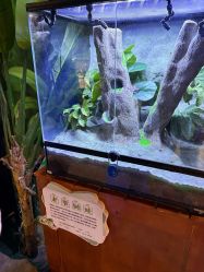 -酷嗒动物文化乐园(cutezoo西溪乐天城店)