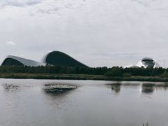 -哈尔滨大剧院