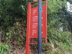 -灵顺寺