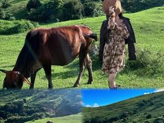 -大姆山草场