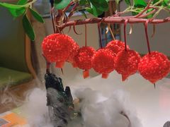 -奔跑吧陕菜·盛世长安(民乐园万达店)