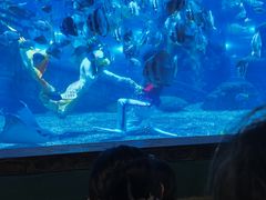 -南昌海洋公园