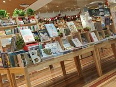 -猫的天空之城概念书店(印象城购物中心店)