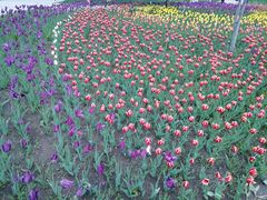 -长春公园(普阳街道)