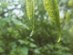 -南京市江宁方山