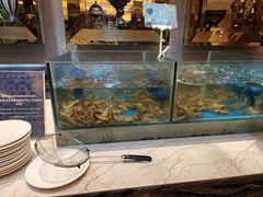 -盛宴标帜西餐厅龙虾.鲍鱼•牛排(重庆喜来登大酒店)