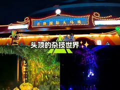 -广州长隆国际大马戏