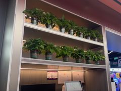-文通冰室(东方宝泰店)