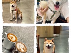 -山下C5cafe(惠通时代广场店)