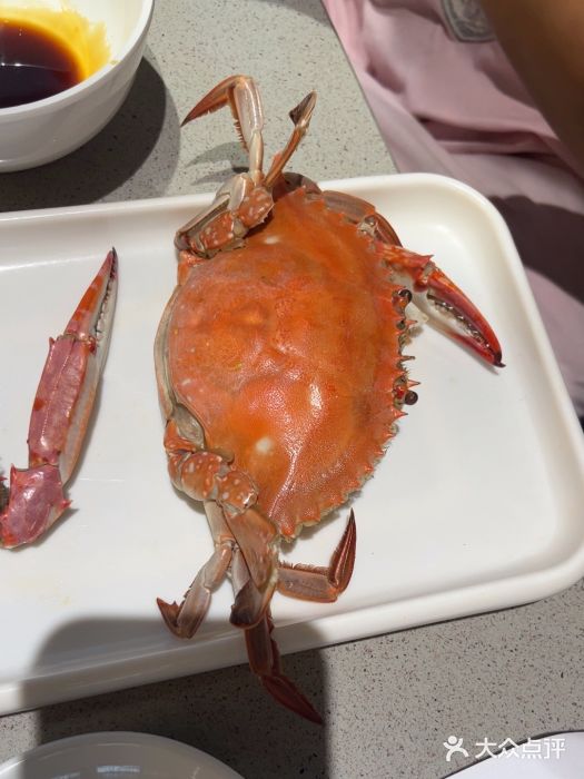 大锅强·蒸海鲜青岛菜(吾悦广场店)图片