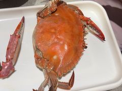 -大锅强·蒸海鲜青岛菜(吾悦广场店)