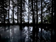 -东湖落雁景区