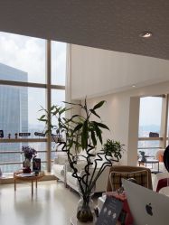 -JNK皮肤管理中心