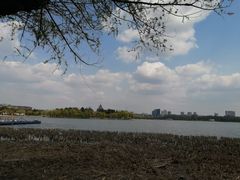 -长春市南湖公园