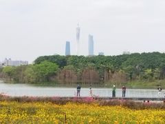 -海珠湖公园
