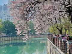 -红星桥(地铁站)