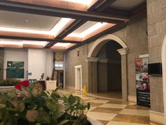 -深圳东部华侨城茵特拉根酒店