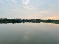 -大兴滨河森林公园