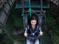 -梦幻奥陶纪景区