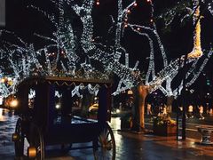 -也枫·小黄楼(南山路旗舰店)