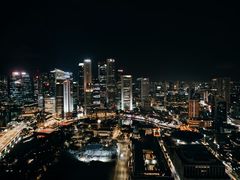 -新加坡瑞士史丹福酒店