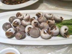 酱爆花螺-高佳庄·舟山海鲜(海景旗舰店)