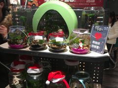 -酷乐潮玩(金桥国际店)