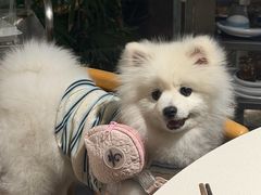-二荆条·城市森林火锅旗舰店
