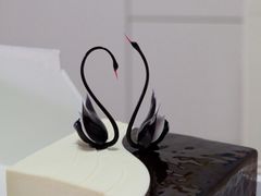 -BLACKSWAN黑天鹅(环球店)