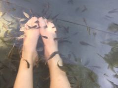 -三亚珠江南田温泉度假区