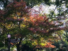 -惠山国家森林公园