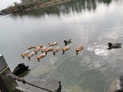 -上海怡沁园度假酒店