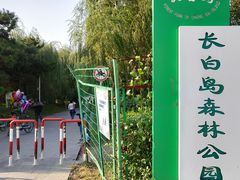 -长白岛森林公园