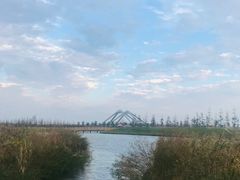 -春花秋色城市公园