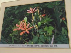 -北京中医药大学-中医药博物馆