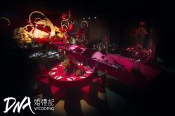 -DNA Wedding 婚礼记(上海店)