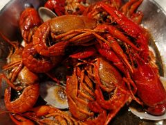 -霸王虾·麻辣小龙虾(清水河公园店)