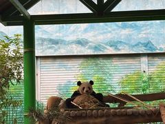 -灵玲国际马戏城