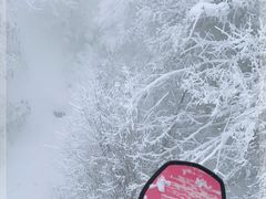 -太子岭滑雪场