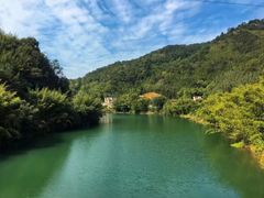 -武陵山森林公园