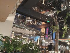 -桂满陇·海市蜃楼·黑金(国金店)