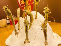 -尚海豆捞(乐虹坊店)