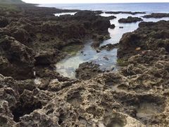 -龙坑生态保护区