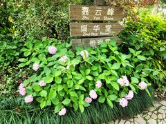 -汇龙潭
