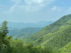 -莫干山风景区