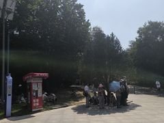 -秦始皇帝陵博物院-丽山园