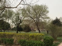 -赵州桥景区