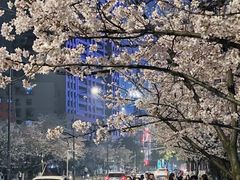 -西北湖绿化广场