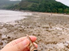 -小皓村