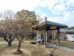 -无锡梅园公园